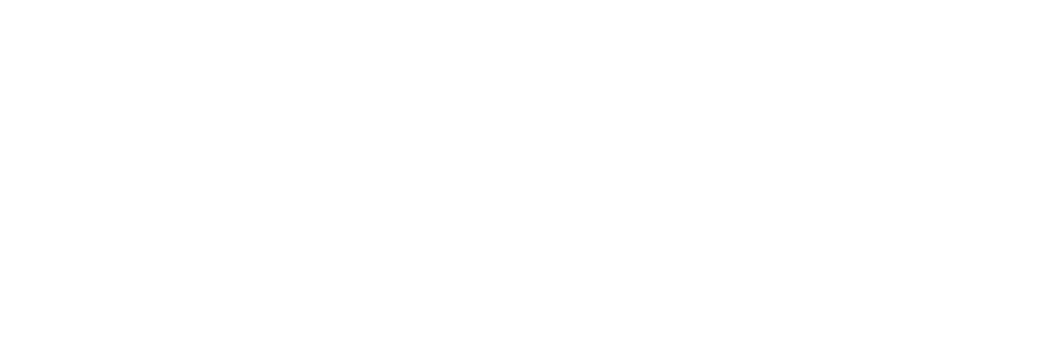 Logo Robotize